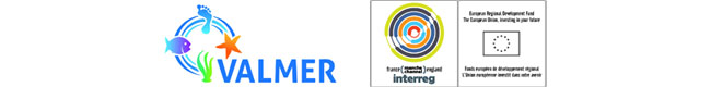 Logo VALMER INTERREG