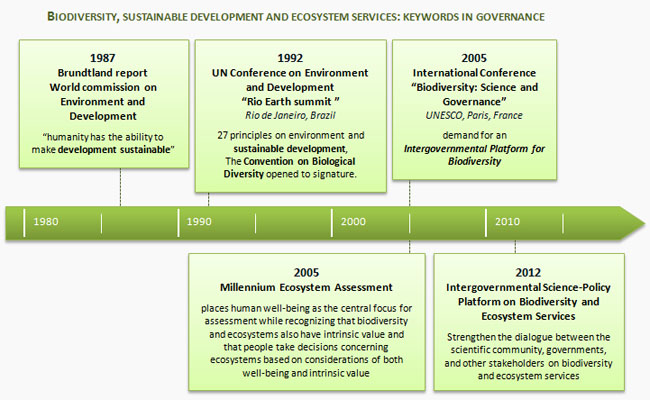 1 1 3 BiodiversitySustainableDevelopmentEcosystemServices