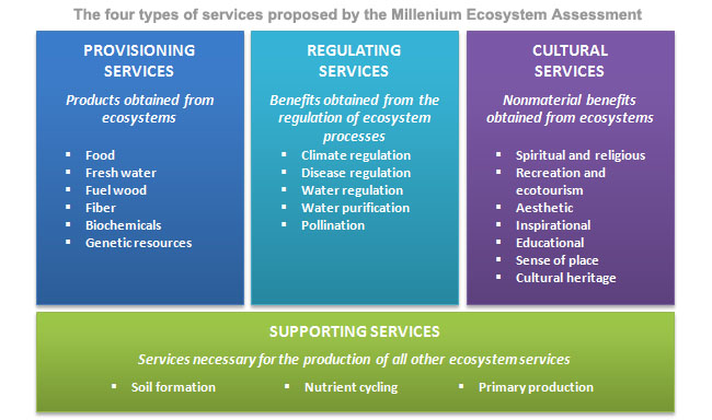 1 2 1 EcosystemServicesDefinition