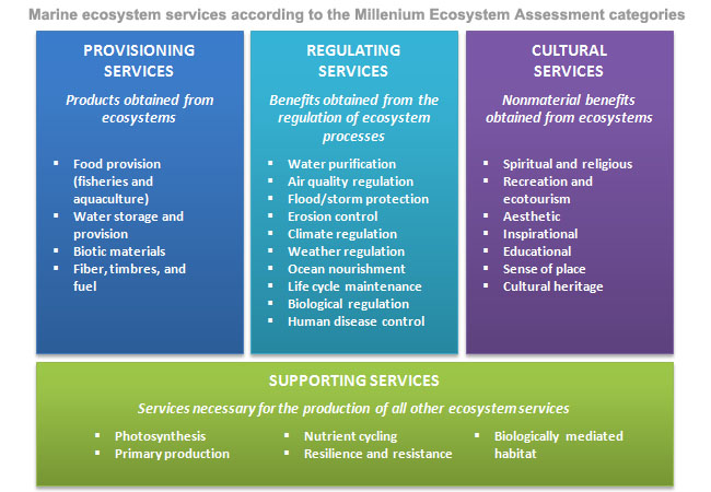 1 2 3 MARINE EcosystemServicesDefinition