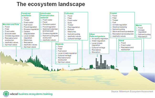 1 3 5 Ecosystem services on land