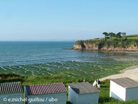 Activite Nitrates   EMichelGuillou ubo   Douarnenez 2
