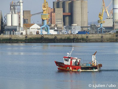 Activite Peche   SJulien   ubo  Brest 0012