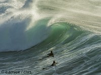 Activite Surf   EAmice   cnrs   Surf