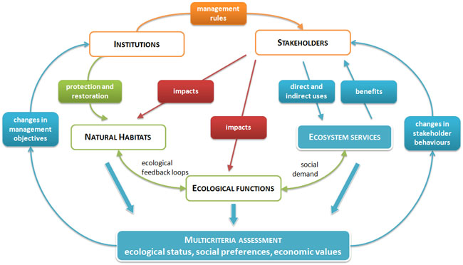 Figure 1 2 5   System view of ecosystem services