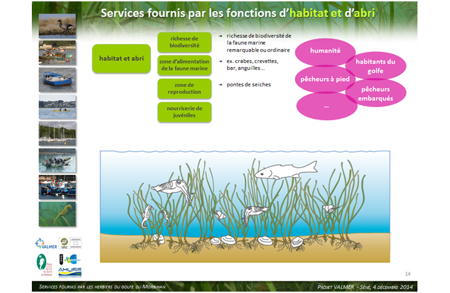 2 2 3   Communication Morbihan 1