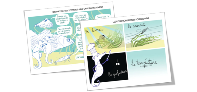 2 2 3   Communication Morbihan 3