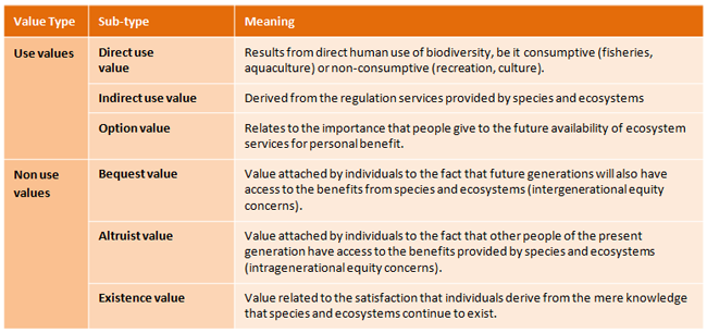 3 1 7  Values TEEB