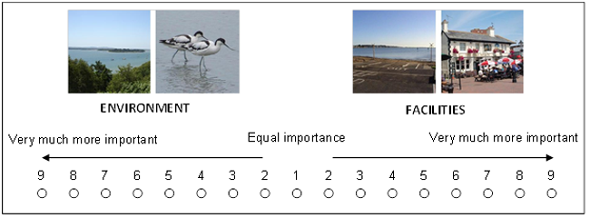 3 3 2   AHP survey