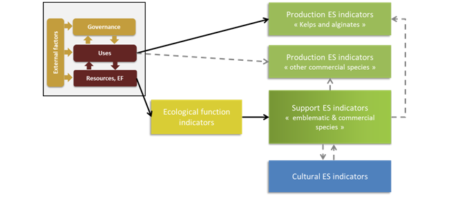 3 9 3   PNMI System modelling Indicators
