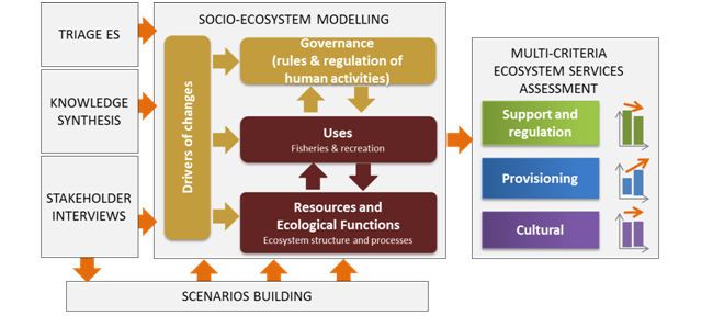 3 9 3   PNMI System modelling