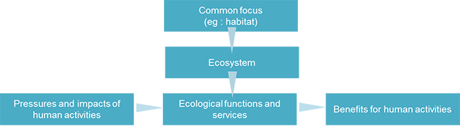 4 2 1 conceptual diagram