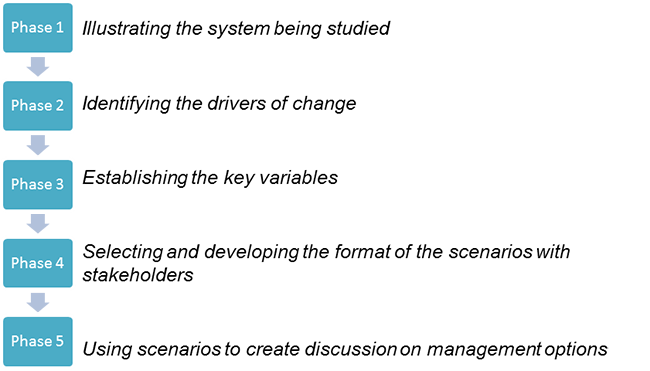 4 2  phases for scenario building