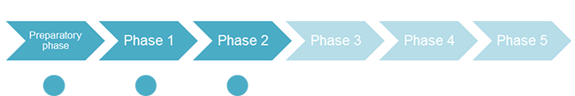 4 3 4  DELPHI phases