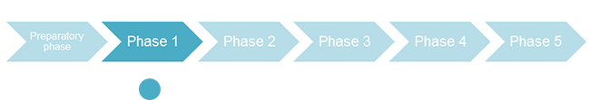 4 3 7 ardi phases