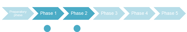 4 3 8 dpsir phases