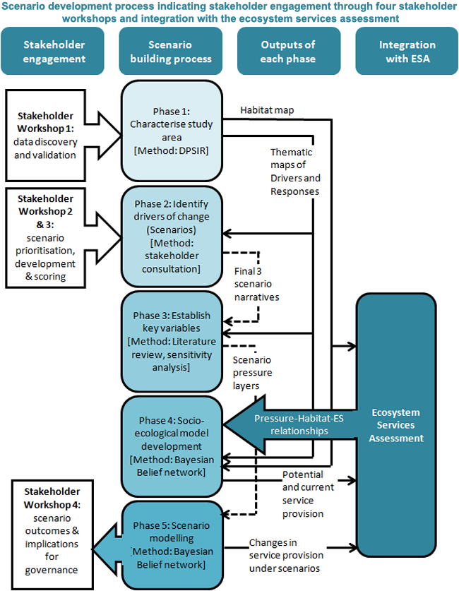 5 1 6  Scenario process