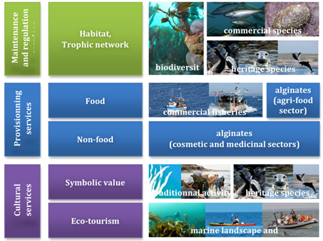 5 5 4  PNMI Ecosystem Services
