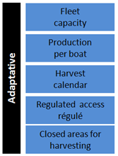 5 5 8   Scenario Adaptative
