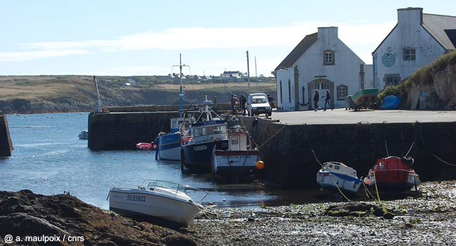 5 5   A Maulpoix Cnrs Ouessant 2