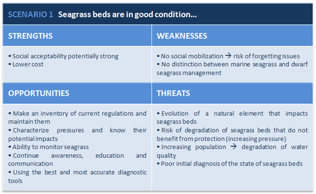 5 6 8   Scenario SWOT analysis