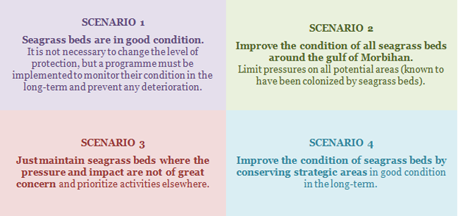 5 6 8   Scenarios