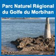5 6 Golfe du Morbihan