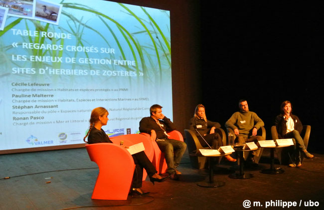 5 6   journee zosteres 4dec2014  M.Philippe UBO
