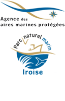 Logo AAMP PNMI