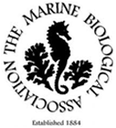 Logo MBA
