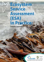 Lessons learned ESA